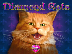 Diamond Cats