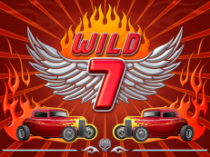 Wild 7